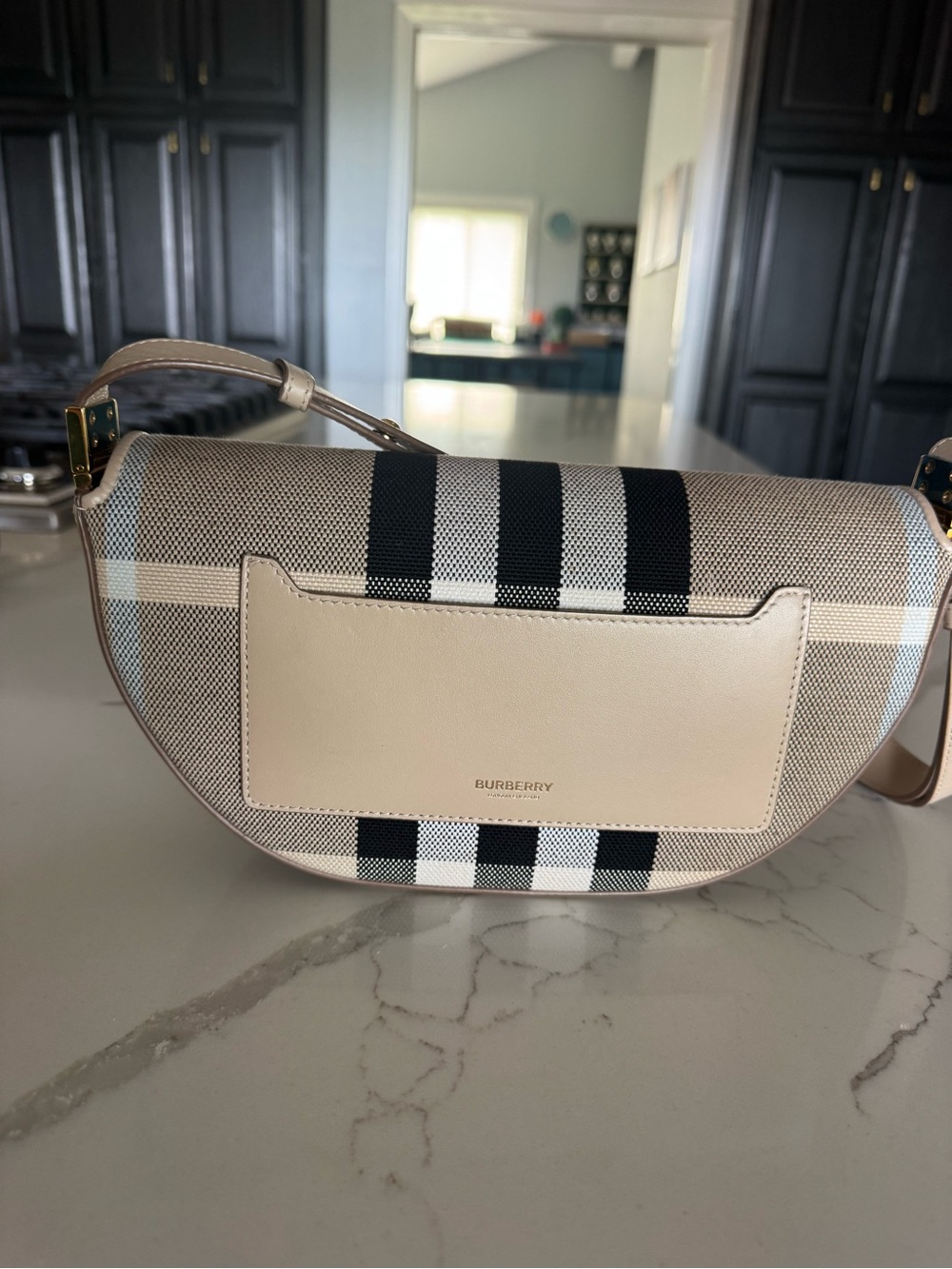 Burberry Olympia Bag - Picture 2 of 13